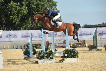 Riders battle it out for their HOYS Wild Card