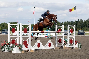 Showjumping Stallion HFS Valentino Achieves AES Approved Status