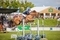 The biggest agricultural event in the county, Devon County Show returns 16-18th May.