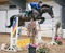Rachael Connor Storms to Victory in SEIB Winter Novice Qualifier at SouthView Equestrian Centre