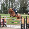 Triple Clear for Donna Callaghan - Equitop Myoplast Senior Foxhunter Second Round at Bicton Arena