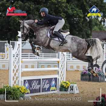 A Christmas present keeps on giving for Michael McColm with victory in the Blue Chip Feeds Pony Newcomers Masters A Christmas present keeps on giving for Michael McColm with victory in the Blue Chip Feeds Pony Newcomers Masters