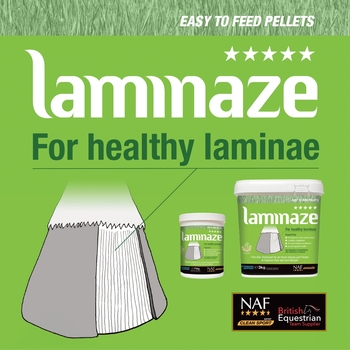 NEW NAF Five Star Laminaze Pellets offer Five Star Treatment for prone horses and ponies