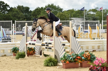 Bicton to host the Pony British Novice Second Round Qualifier