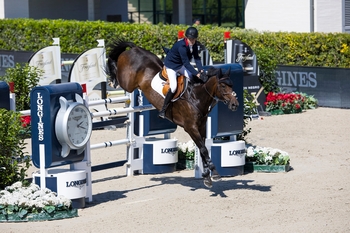 Longines jumping discount