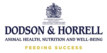Dodson & Horrell National Amateur Second Rounds at Brook Farm
