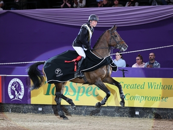 Mark Edwards and Royal Tale are 2022 Equitop® Senior Newcomers Champions