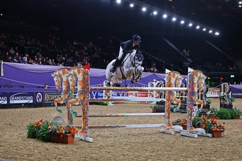 Prolific HOYS Winner Pippa Goddard Takes Talent Seekers Honours