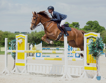 Harry Bateman Takes Pole Position in Nupafeed Supplements Senior Discovery Second Round at Quainton Stud