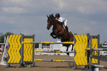Joe Clayton Storms to Victory in the Connolly’s RED MILLS Senior Newcomers Second Round at Arena UK