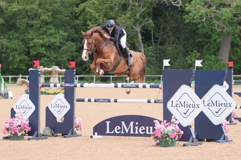 Peter Moloney captures the top-billed 2* Grand Prix at Wellington Riding with Nielson