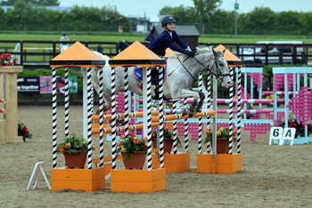 Shaunie Greig Succeeds in The Stable Company HOYS 138cms Qualifier at Sparsholt College