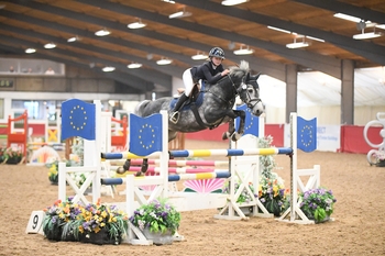 Round-up from South View Equestrian Centre's Small Pony Premier