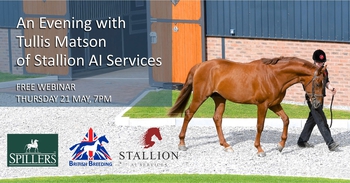 AN EVENING WITH STALLION AI SERVICES – WEBINAR, THURSDAY 21 MAY, 7PM
