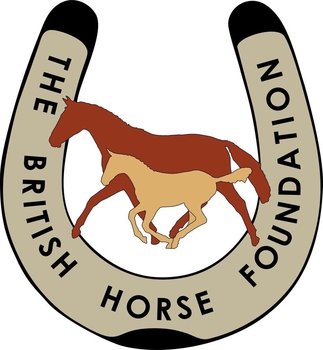 Nominations Go Live For The Horse & Hound Outstanding Mare Award 