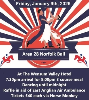 Norfolk Area Ball!