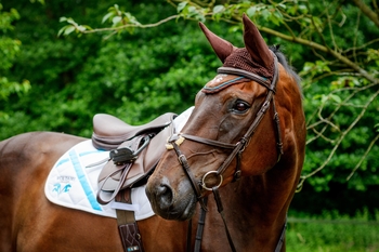 Voltaire Design Announced as Title Sponsor of Liverpool International Horse Show Voltaire Design Announced as Title Sponsor of Liverpool International Horse Show