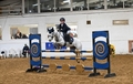 Young Talent Shines at the Final Winter Small Pony Premier at Arena UK