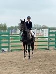 Nupafeed Supplements Senior Discovery Second Round - Willow Banks