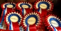 Midlands Academy Show 12-13 December at Arena UK!
