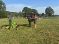 Ashover show