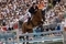 Horse change in the British Equestrian Jumping Squad