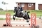 Penultimate weekend of Equiyd National Amateur Championship Second Rounds conclude at Chard Equestrian