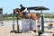 Adam Morgan and Carrickview Clarissa Secure GFS Saddles Senior Newcomers Championship Final Ticket at Arena UK