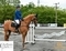 Louise McDonald and Fanta-Astic Fly to Victory at Codham Park 