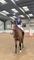 Darcie Leaning and Haremeare Swagman Secure Their National Championships Ticket at Forest Edge Arena 