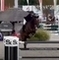 Graham Babes claims a world ranking win in Belgium with Monks I Am Casall