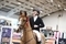 James Smith and Dan IV Triumph in SEIB Winter Novice Qualifier at Aintree