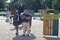 Double Wins for Renwick and Blackhurst as Jess Mendoza heads Grand Prix Qualifier at CSI4* Bolesworth International Presented by Al Shira'aa