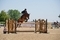 Iwan Carpenter and Ramiro Dollar Claim GFS Saddles Senior Newcomers Championship Second Round Victory at Wales and West 
